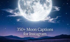 350-moon-captions-for-instagram